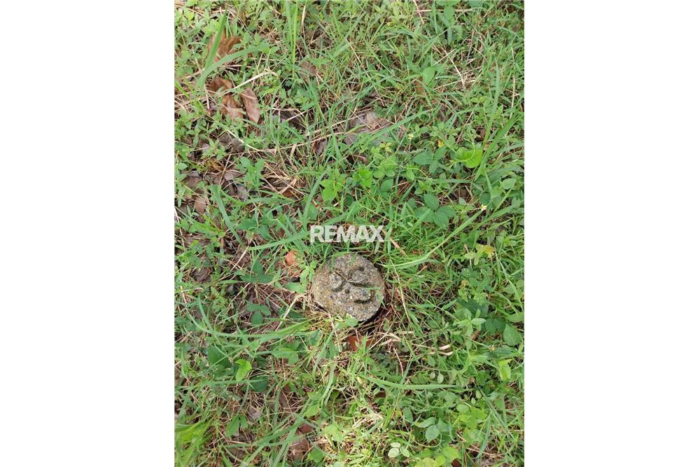 Elamine - Tühi kinnistu - Calamba City, Laguna, Region IV-A - Philippines - 3 - 950831016-2