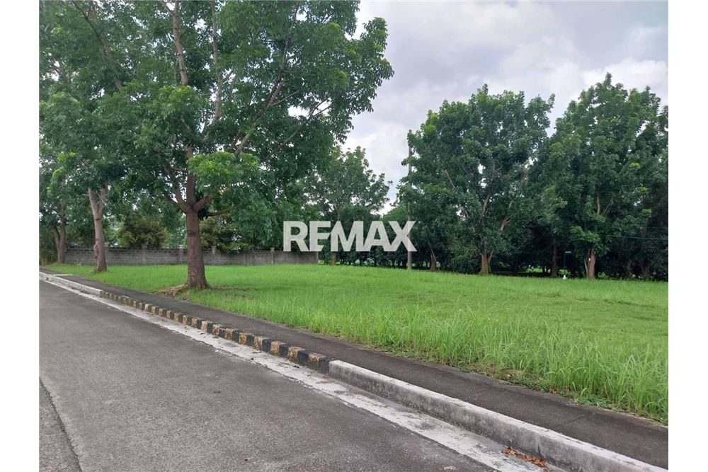 Elamine - Tühi kinnistu - Calamba City, Laguna, Region IV-A - Philippines - 5 - 950831016-2