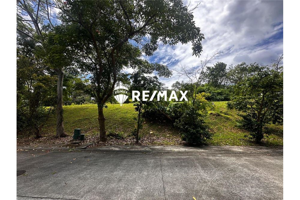 Residential - Zemljišče zapuščeno - Calamba City, Laguna, Region IV-A - Philippines - 1 - 950801015-12