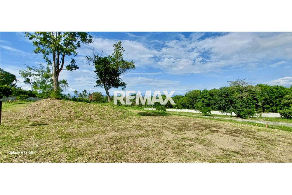Residential - Άκτιστο οικόπεδο - Calamba City, Laguna, Region IV-A - Philippines - 1 - 950781041-7