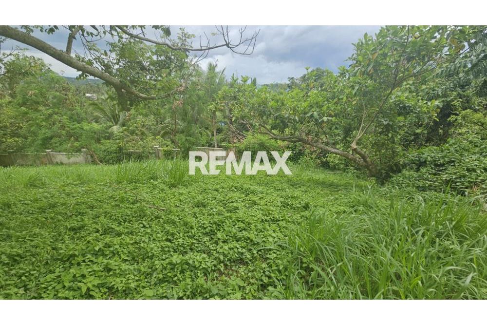 Residential - Vapaa-ajan tontti - Laurel, Batangas, Region IV-A - Philippines - 4 - 950961001-5