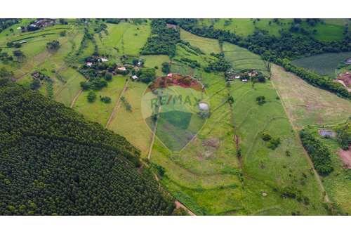 Venda-Chácara / Sítio / Fazenda-Linha Sao Tarcisio , sn  - área rural  - Luz Marina , São Pedro do Iguaçu , Paraná , 85929000-960131009-1