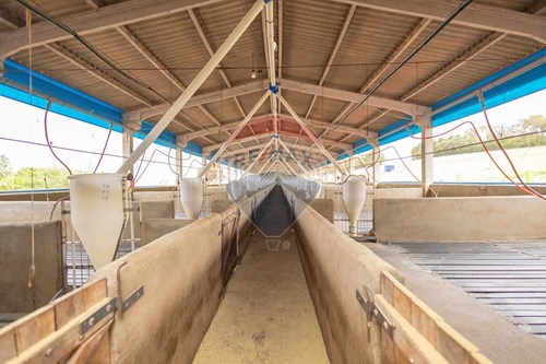 Venda-Chácara / Sítio / Fazenda-Centro , Toledo , Paraná , 85924000-960131012-76