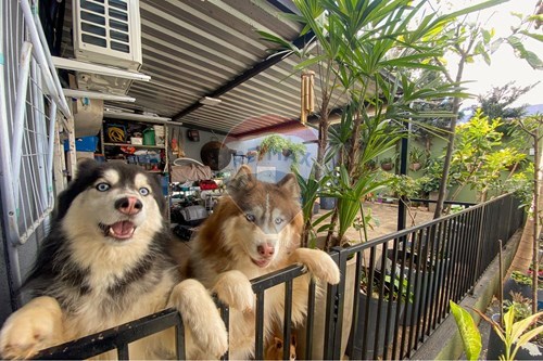 Venda-Casa-TRAVESSA SEBASTIAO PEREIRA DE CAMARGO , 118  - Santa Felicidade , Cascavel , Paraná , 85803137-960151006-56