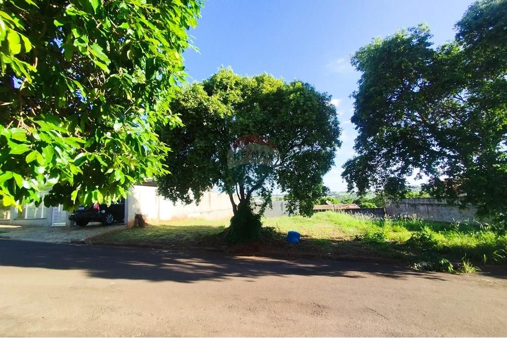 Terreno - Venda - Umuarama , Paraná - IMG_20251021_170558.jpg - 960171006-23