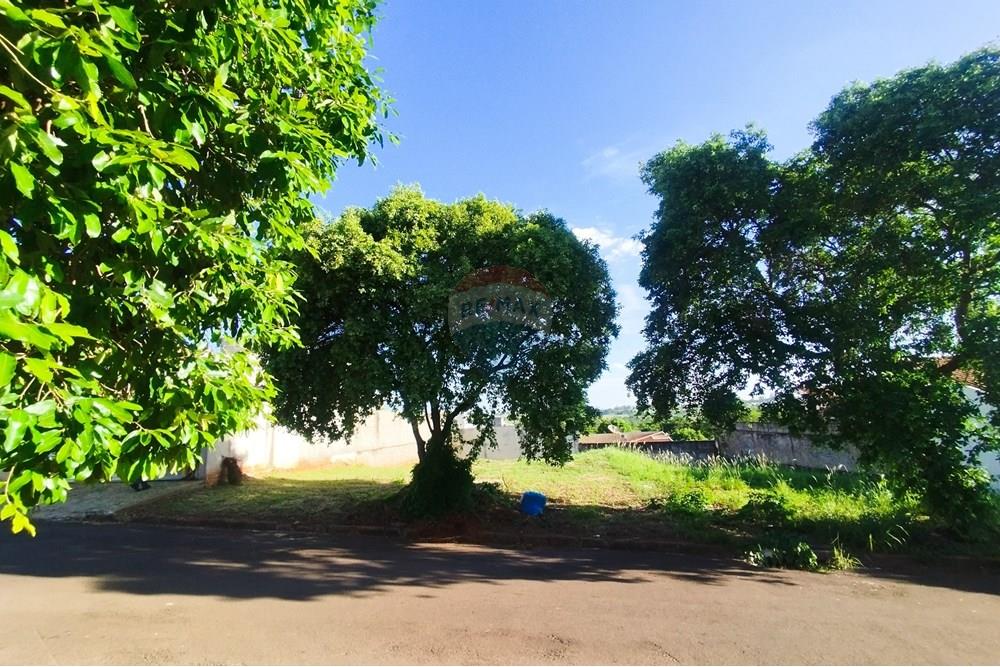 Terreno - Venda - Umuarama , Paraná - IMG_20251021_170644.jpg - 960171006-23