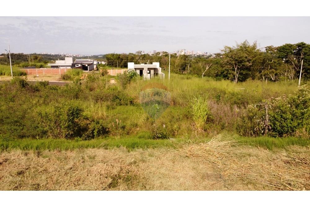 Terreno - Venda - Foz do Iguaçu , Paraná - Imagem do WhatsApp de 2025-05-16 à(s) 11.58.48_d35c95a3.jpg - 960101031-5