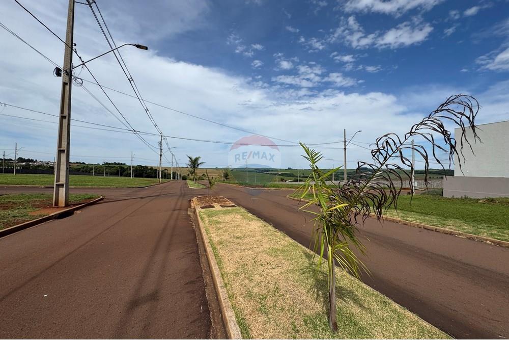 Terreno - Venda - Santa Tereza do Oeste , Paraná - IMG_2273.JPG - 960151041-21