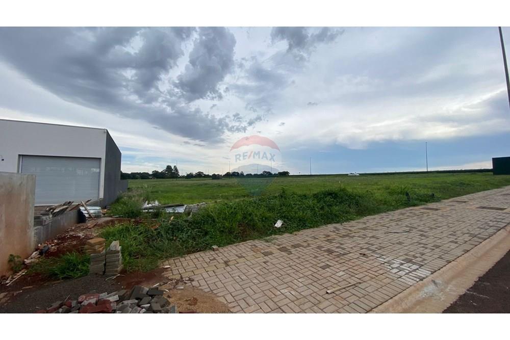 Terreno - Venda - Foz do Iguaçu , Paraná - WhatsApp Image 2026-02-04 at 12.42.58.jpeg - 960181024-43