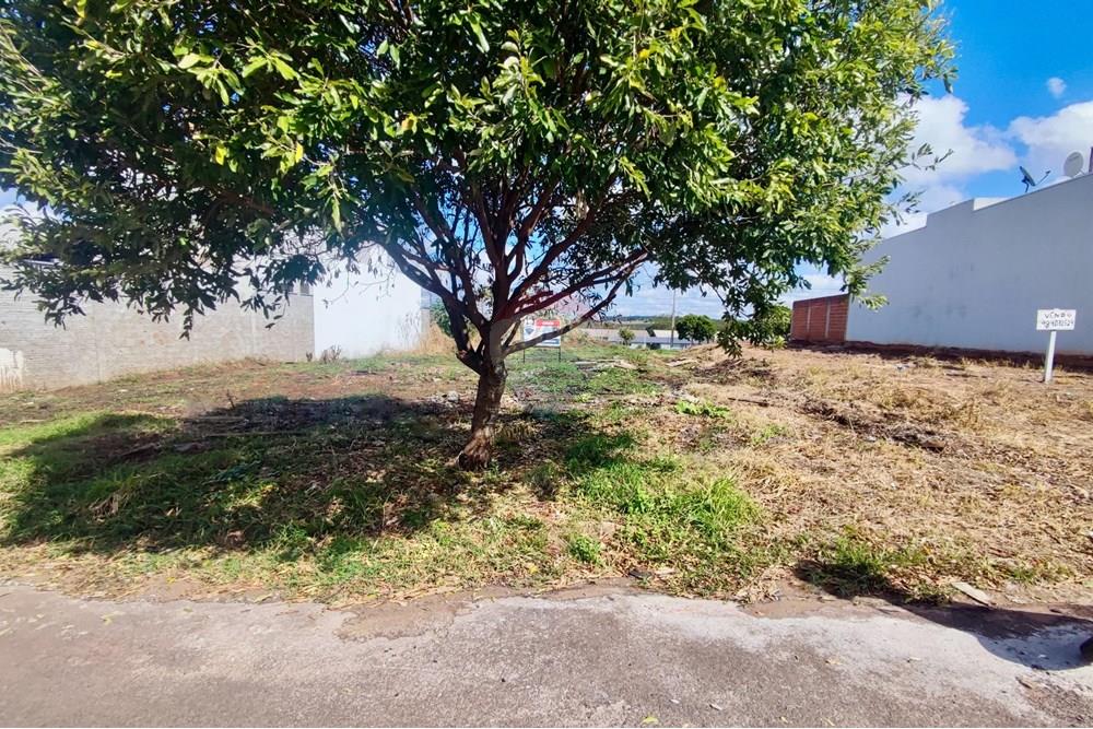 Terreno - Venda - Umuarama , Paraná - be24ed8b-8215-4624-a8e4-aa93398c45ec.jpg - 960171002-33