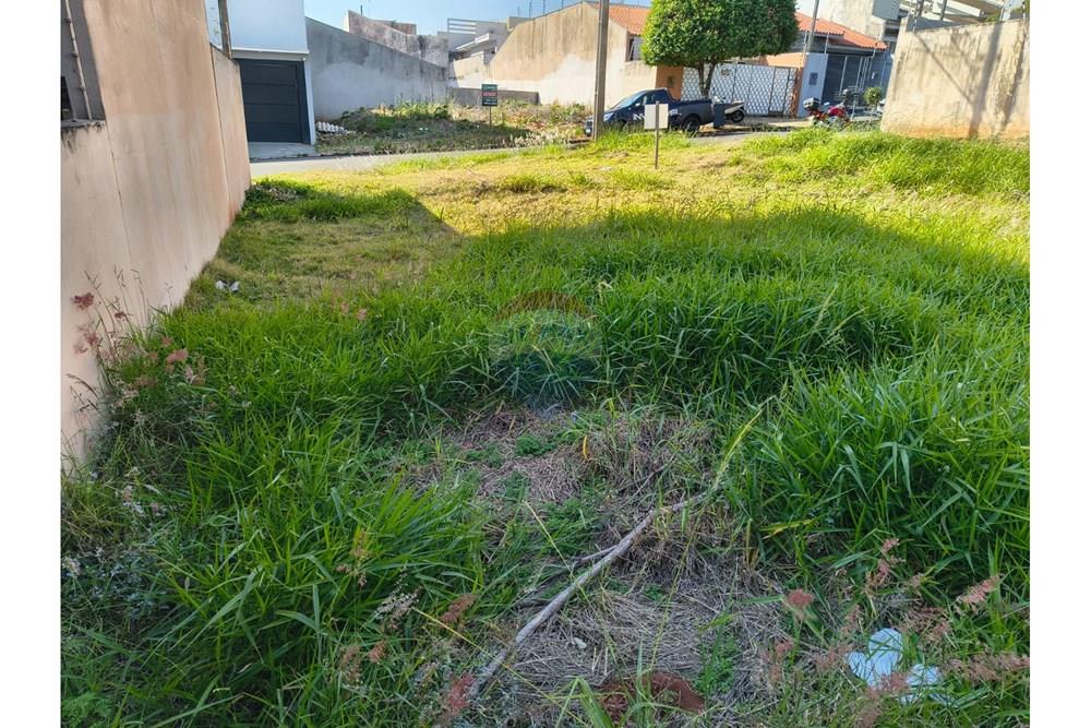 Terreno - Venda - Umuarama , Paraná - Imagem do WhatsApp de 2025-08-20 à(s) 09.15.00_815e50c4.jpg - 960171005-54