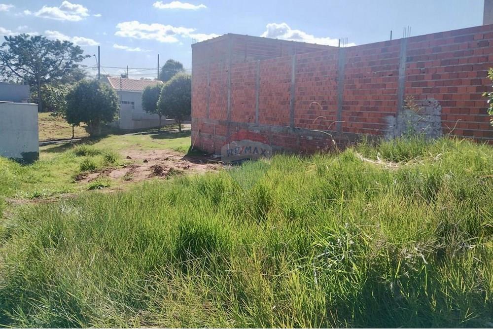 Terreno - Venda - Umuarama , Paraná - Imagem do WhatsApp de 2025-07-24 à(s) 09.49.33_9a4db53f.jpg - 960171005-53