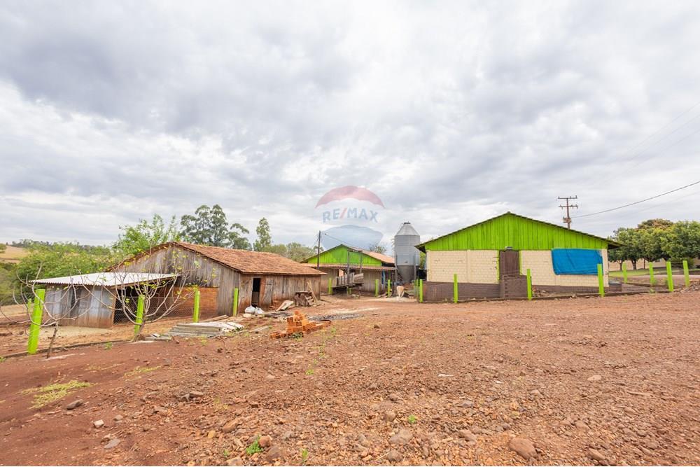 Chácara / Sítio / Fazenda - Venda - Toledo , Paraná - IMG_8575.jpg - 960131012-76