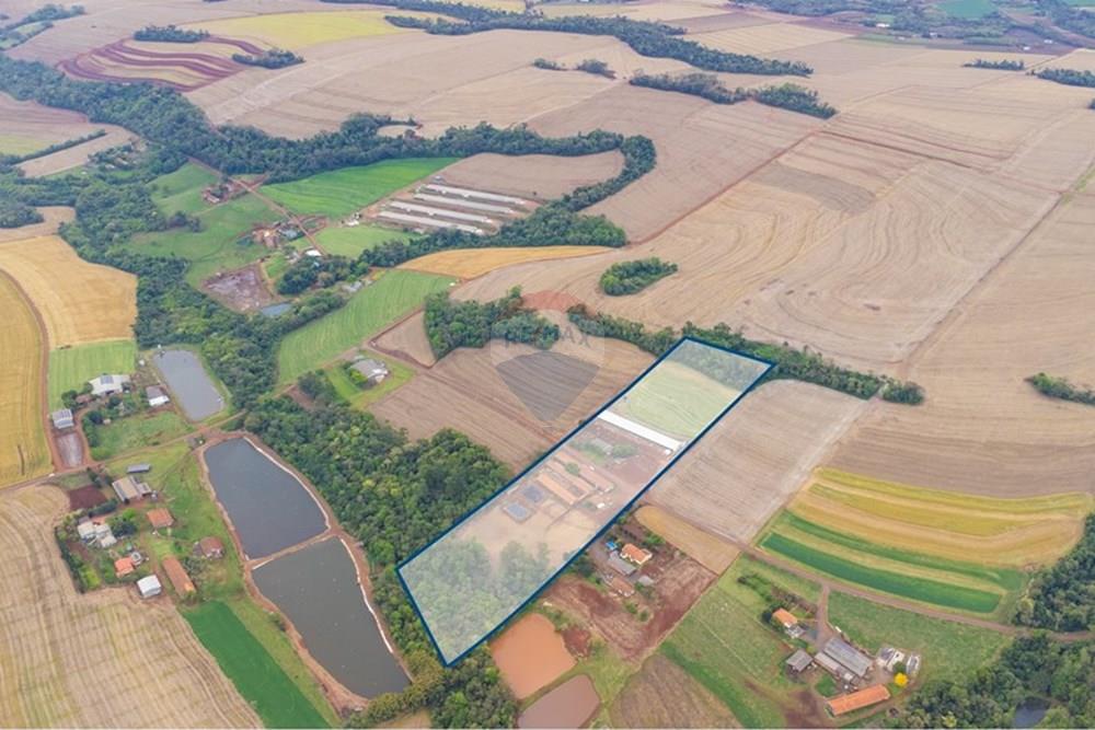 Chácara / Sítio / Fazenda - Venda - Toledo , Paraná - DJI_0105-Editar.jpg - 960131012-76