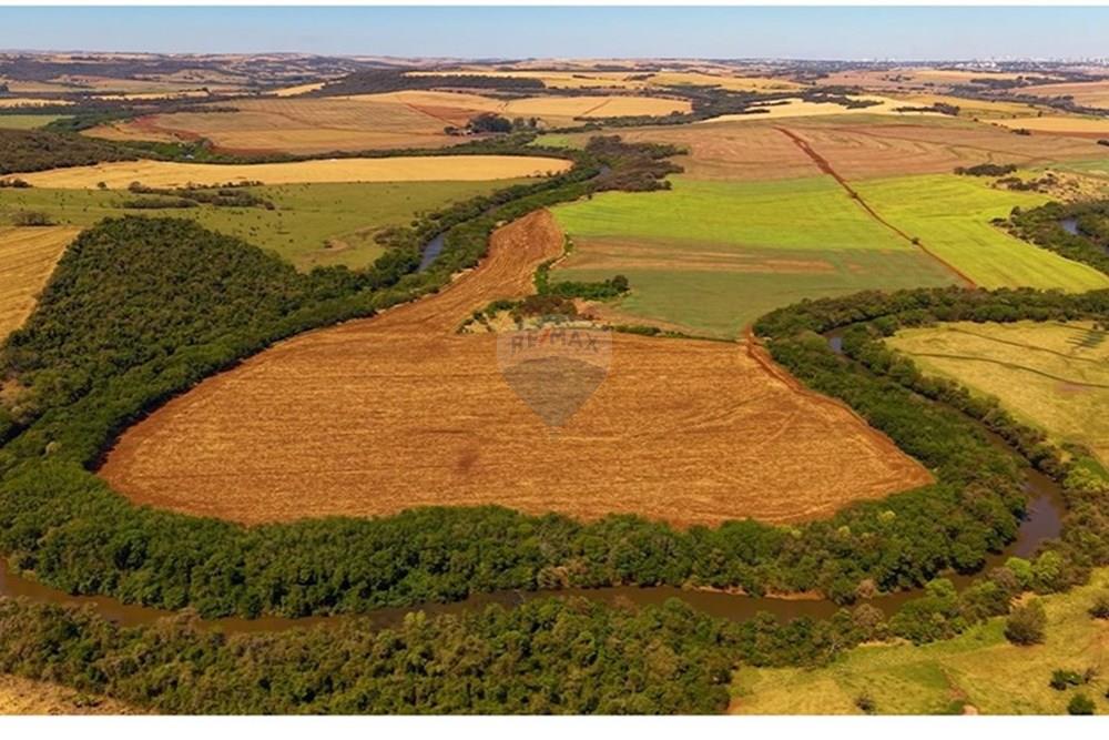 Fazenda - Venda - Maringá , Paraná - imagem 2.jpeg - 960131049-2