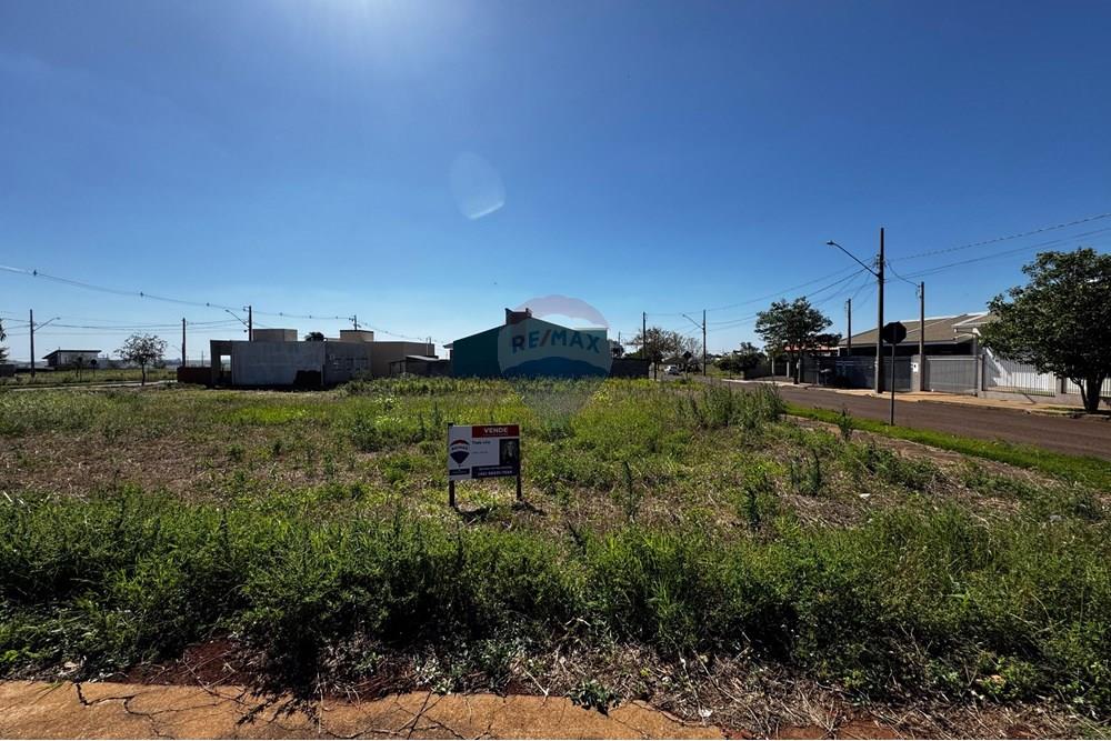 Terreno - Venda - Toledo , Paraná - IMG-20251110-WA0195.jpg - 960131026-18