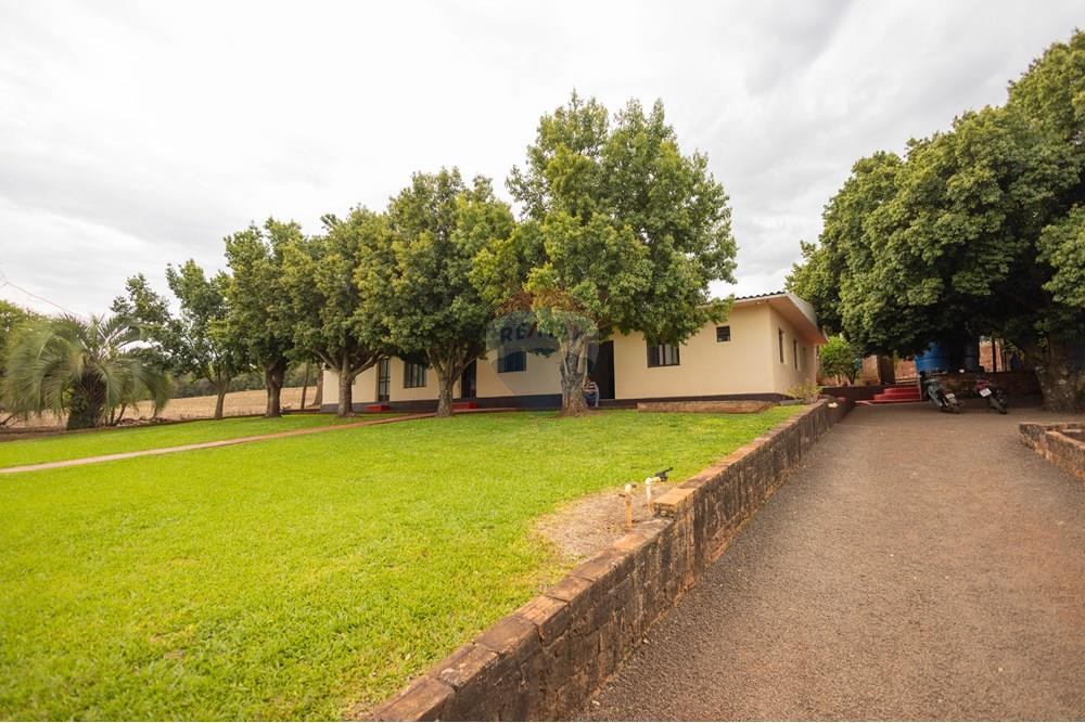 Chácara / Sítio / Fazenda - Venda - Toledo , Paraná - IMG_8505.jpg - 960131012-76