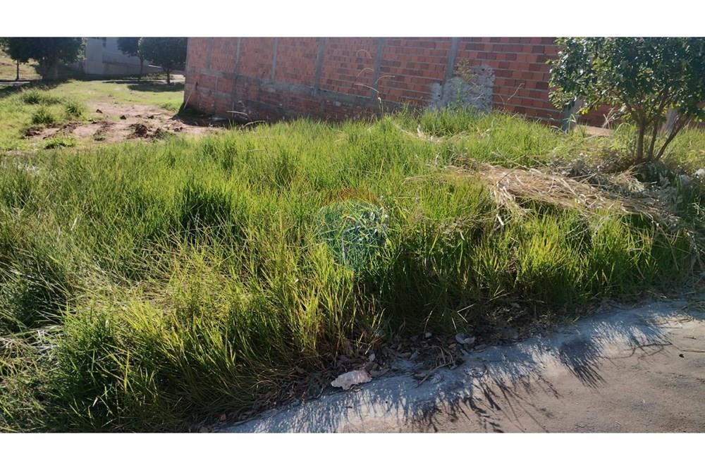 Terreno - Venda - Umuarama , Paraná - Imagem do WhatsApp de 2025-07-24 à(s) 09.49.33_42e3d8e8.jpg - 960171005-53