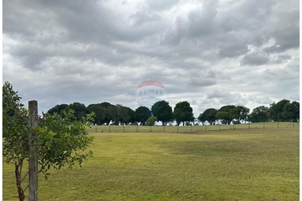 Terreno - Venda - Foz do Iguaçu , Paraná - WhatsApp Image 2025-01-22 at 14.40.09 (2).jpeg - 960101004-9