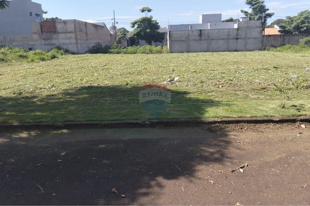 Terreno - Venda - Foz do Iguaçu , Paraná - WhatsApp Image 2026-03-04 at 15.34.44.jpeg - 960181047-1