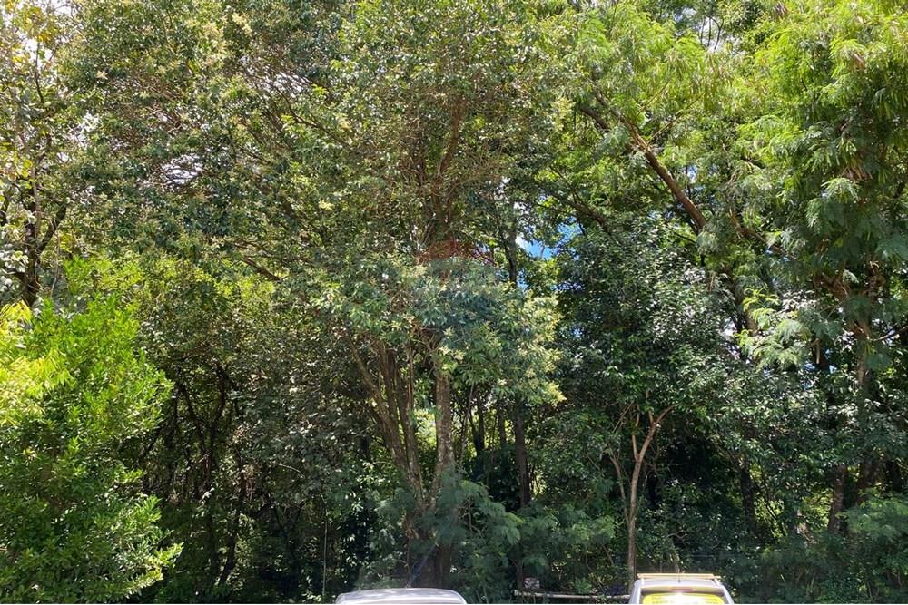 Casa - Venda - Cascavel , Paraná - WhatsApp Image 2025-12-22 at 12.09.57.jpeg - 960151042-25