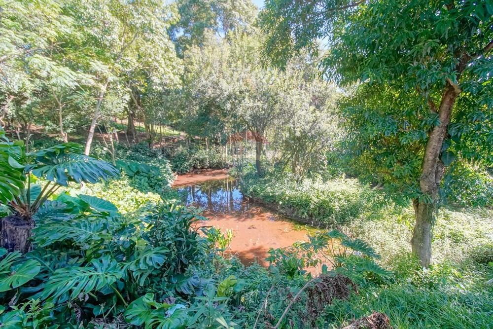 Chácara / Sítio / Fazenda - Venda - Toledo , Paraná - _DSC2267.jpg - 960131012-87