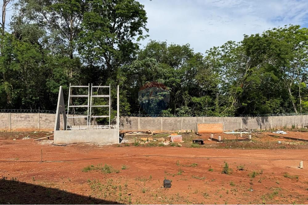 Terreno - Venda - Santa Tereza do Oeste , Paraná - IMG_2251.JPG - 960151041-21