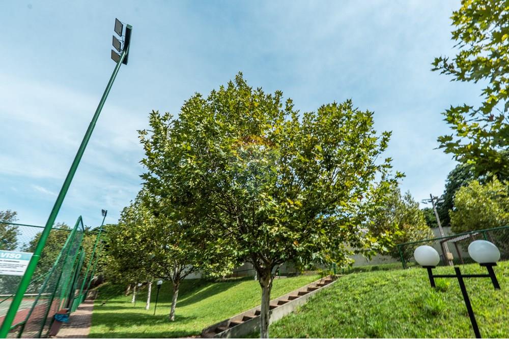 Terreno - Venda - Umuarama , Paraná - 28-03-Fotos-121.jpg - 960171002-25