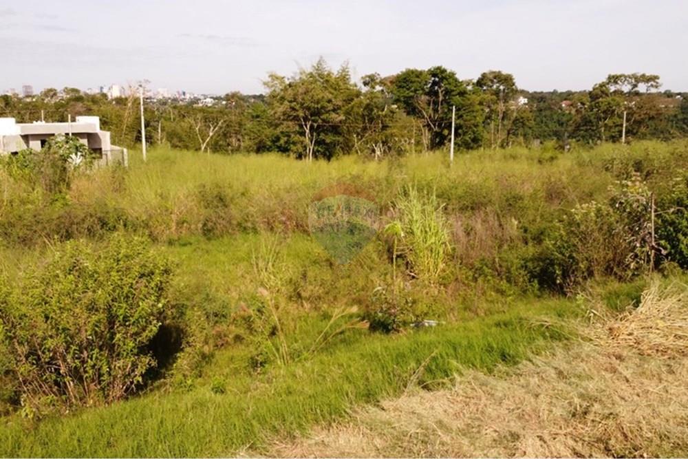 Terreno - Venda - Foz do Iguaçu , Paraná - Imagem do WhatsApp de 2025-05-16 à(s) 11.58.48_29c5b368.jpg - 960101031-3