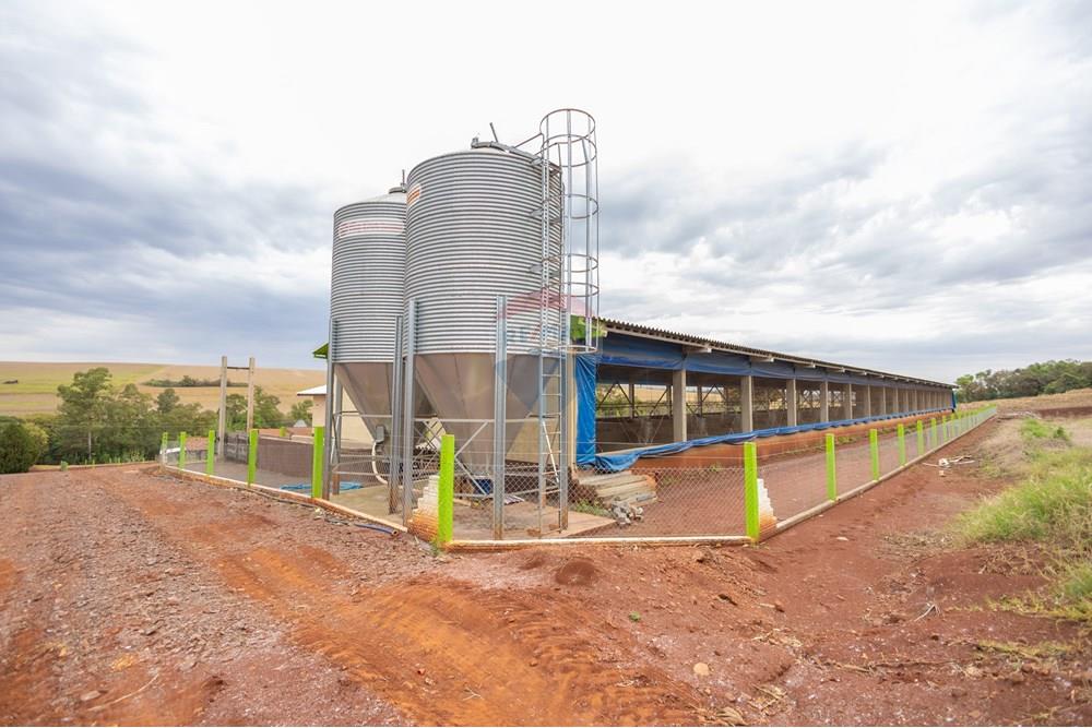 Chácara / Sítio / Fazenda - Venda - Toledo , Paraná - IMG_8567 (2).jpg - 960131012-76