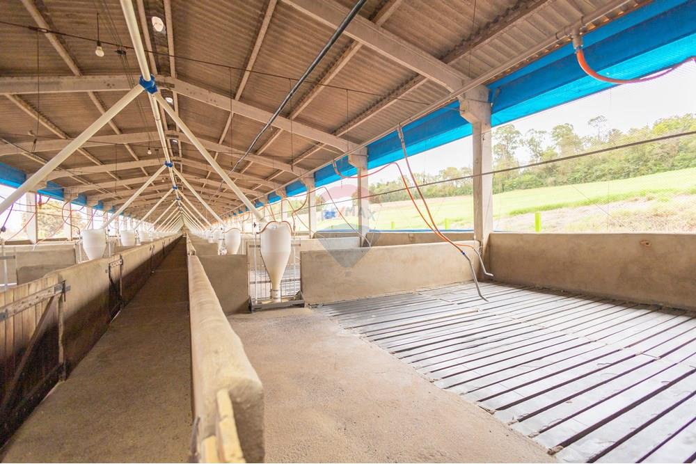 Chácara / Sítio / Fazenda - Venda - Toledo , Paraná - IMG_8556 (1).jpg - 960131012-76