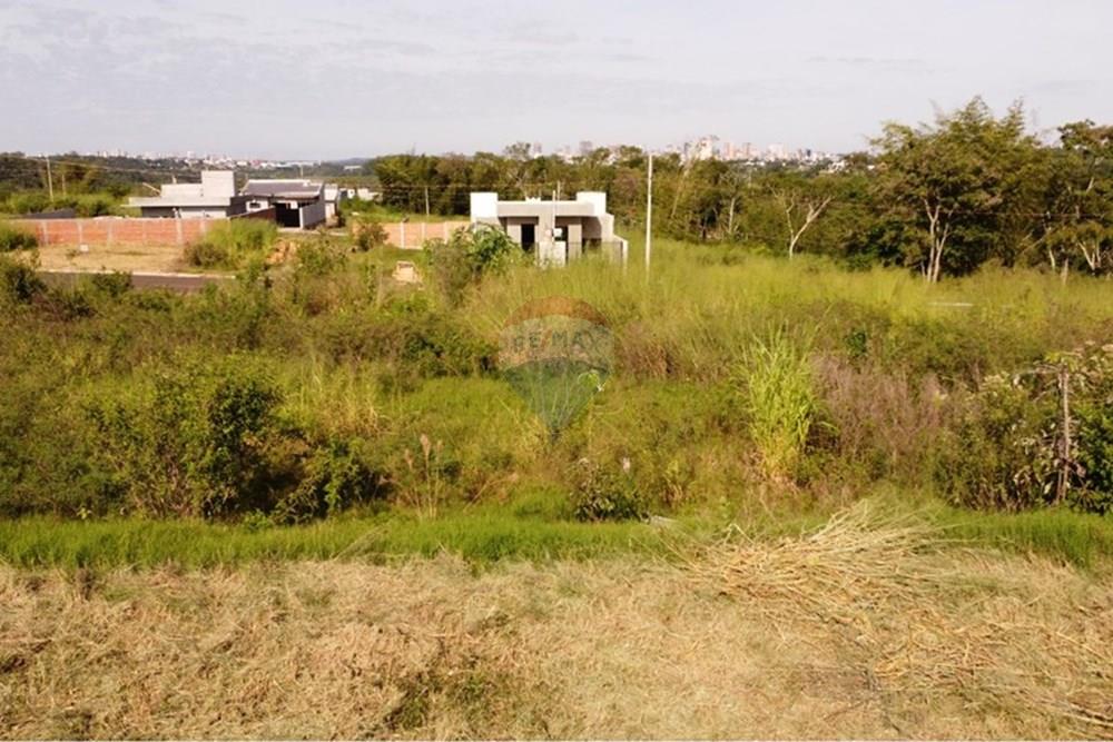 Terreno - Venda - Foz do Iguaçu , Paraná - Imagem do WhatsApp de 2025-05-16 à(s) 11.58.48_d35c95a3.jpg - 960101031-3