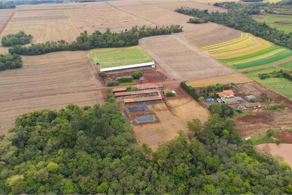 Chácara / Sítio / Fazenda - Venda - Toledo , Paraná - DJI_0126.jpg - 960131012-76