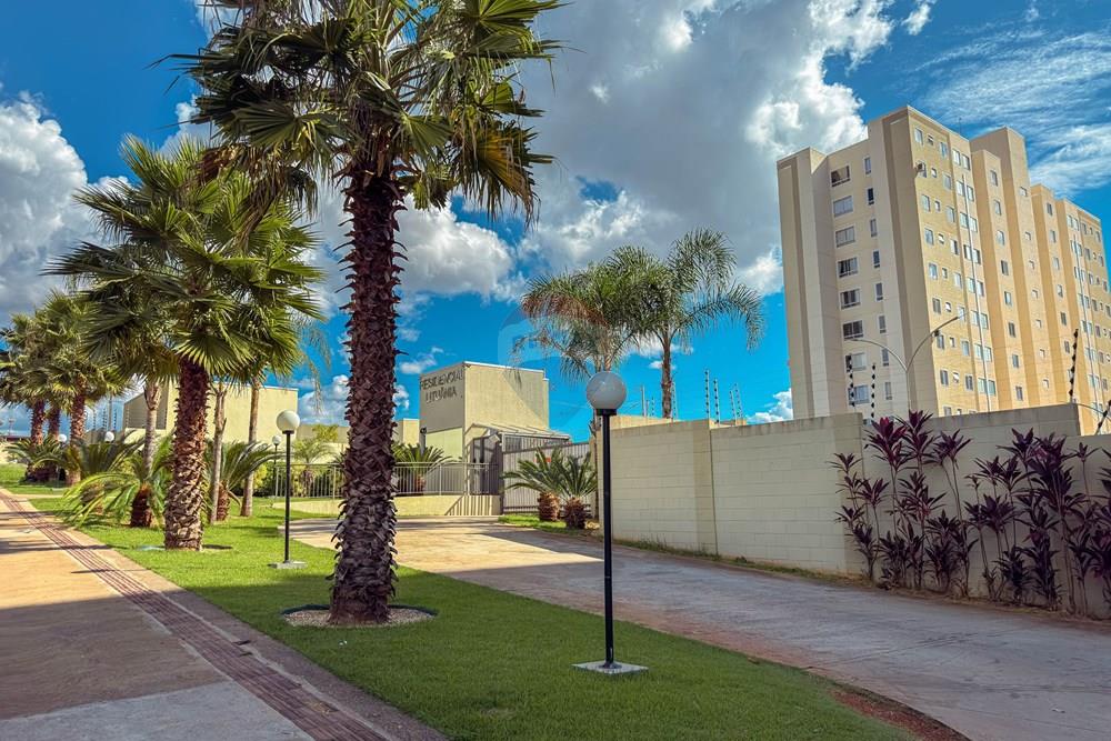 Apartamento - Venda - Londrina , Paraná - IMG_0378.jpg - 960201016-5