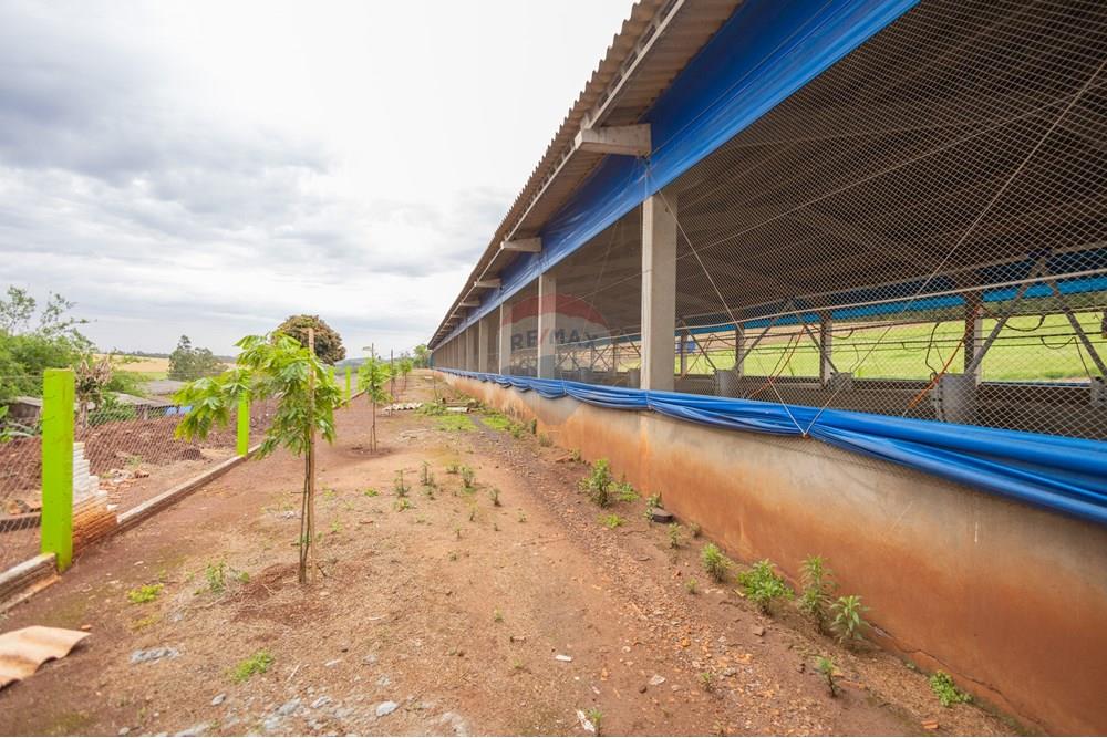 Chácara / Sítio / Fazenda - Venda - Toledo , Paraná - IMG_8565 (2).jpg - 960131012-76