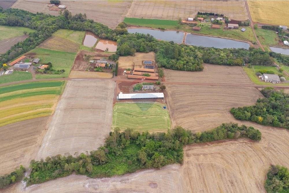 Chácara / Sítio / Fazenda - Venda - Toledo , Paraná - DJI_0114.jpg - 960131012-76