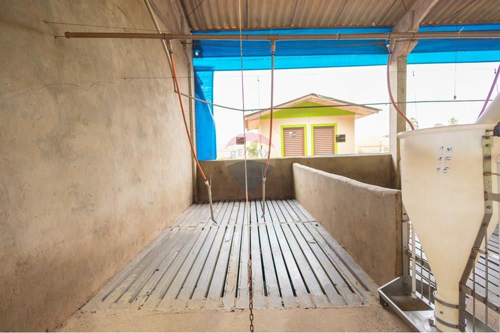 Chácara / Sítio / Fazenda - Venda - Toledo , Paraná - IMG_8552.jpg - 960131012-76