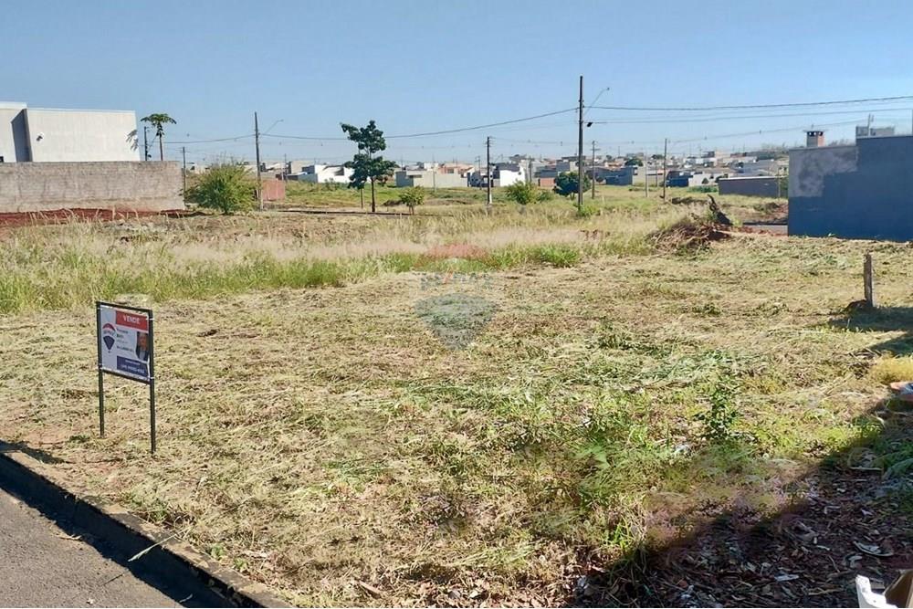 Terreno - Venda - Umuarama , Paraná - Imagem do WhatsApp de 2025-07-23 à(s) 11.12.00_61fb9b0c.jpg - 960171005-52