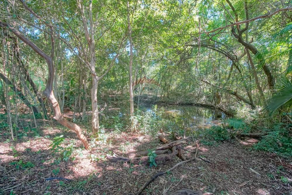 Chácara / Sítio / Fazenda - Venda - Toledo , Paraná - _DSC2259.jpg - 960131012-87