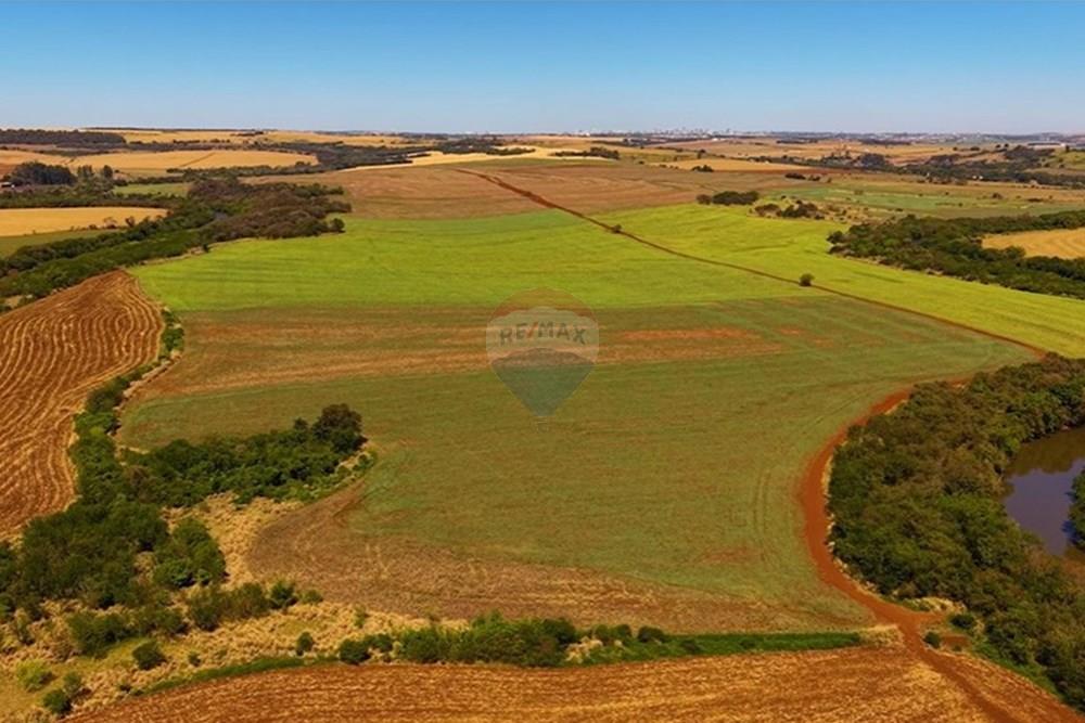 Fazenda - Venda - Maringá , Paraná - imagem 3.jpeg - 960131049-2