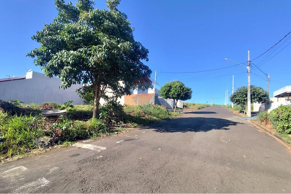 Terreno - Venda - Umuarama , Paraná - Imagem do WhatsApp de 2025-05-02 à(s) 10.13.39_ccda1c9a.jpg - 960171005-49