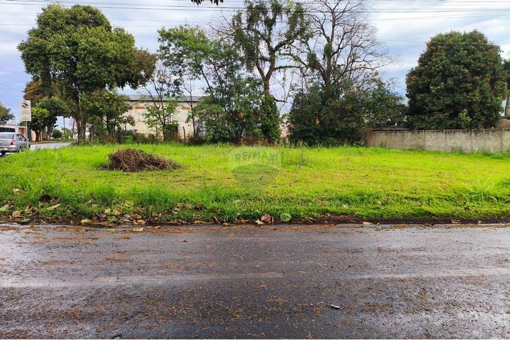 Terreno - Venda - Foz do Iguaçu , Paraná - Imagem do WhatsApp de 2025-09-12 à(s) 09.04.16_d6902300.jpg - 960101031-25