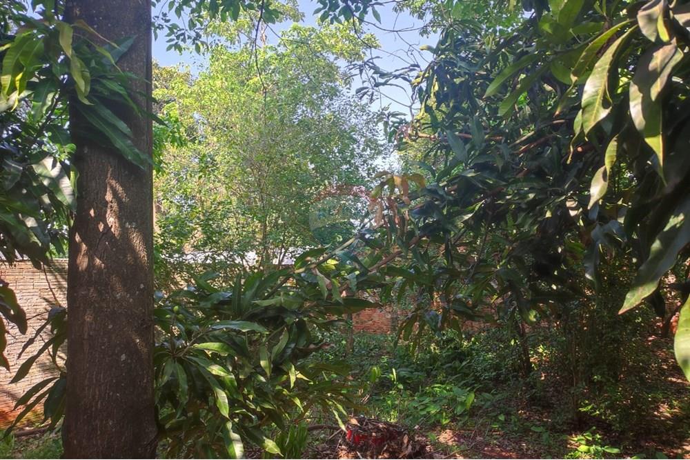 Casa - Venda - Foz do Iguaçu , Paraná - Imagem do WhatsApp de 2025-10-15 à(s) 09.53.09_50cbee75.jpg - 960101031-28