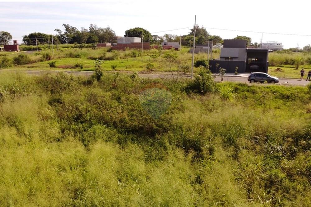 Terreno - Venda - Foz do Iguaçu , Paraná - Imagem do WhatsApp de 2025-05-16 à(s) 11.58.48_c4f57005.jpg - 960101031-3