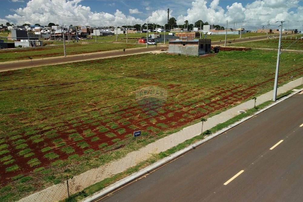 Terreno - Venda - Cascavel , Paraná - DJI_0900.JPG - 960151006-65