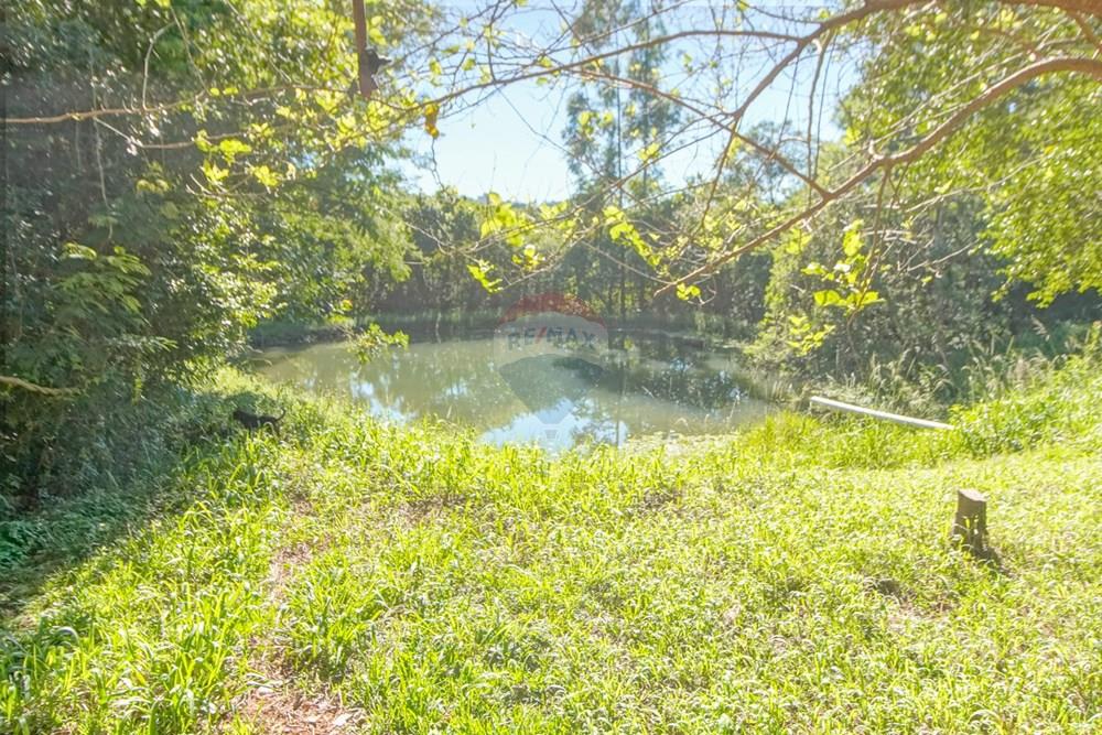 Chácara / Sítio / Fazenda - Venda - Toledo , Paraná - _DSC2255.jpg - 960131012-87