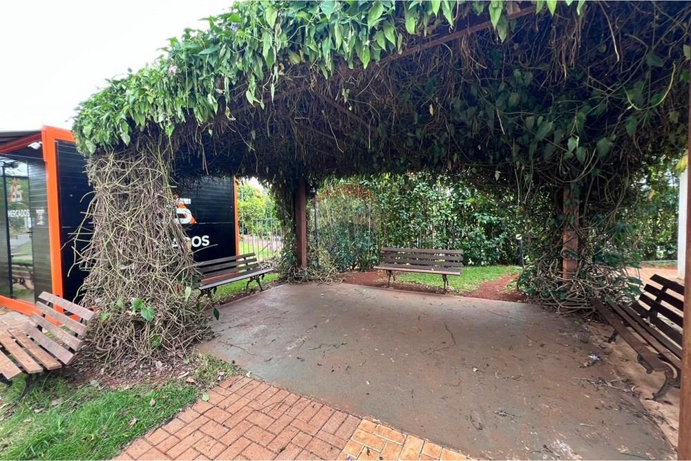 Apartamento - Venda - Cascavel , Paraná - WhatsApp Image 2026-03-16 at 10.13.28(4).jpeg - 960151042-29