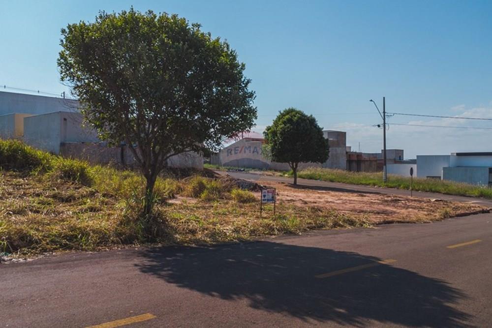 Terreno - Venda - Umuarama , Paraná - 25 de Julho-08.jpg - 960171002-28