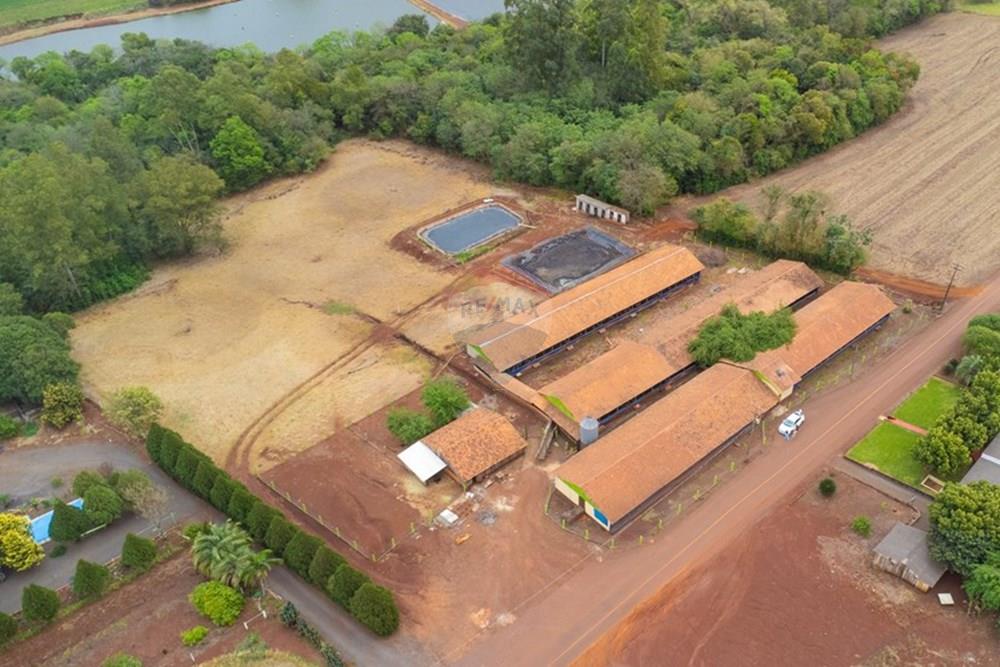 Chácara / Sítio / Fazenda - Venda - Toledo , Paraná - DJI_0117.jpg - 960131012-76