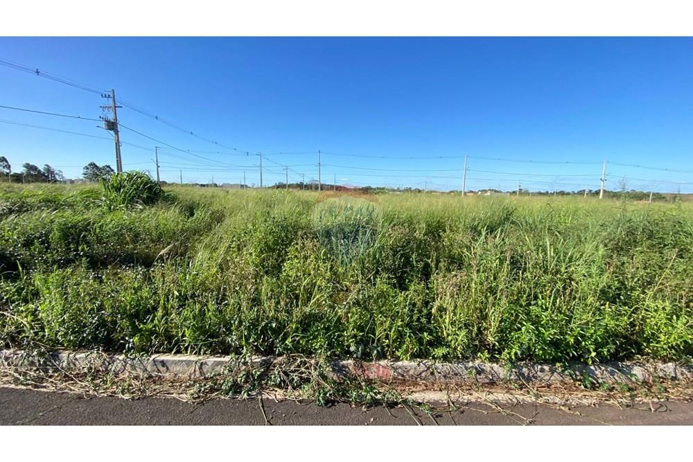 Terreno - Venda - Foz do Iguaçu , Paraná - WhatsApp Image 2025-11-24 at 16.29.07 (2).jpeg - 960181024-39